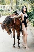 Foto Incontro Biancaladyboy Transescort Pordenone - 6