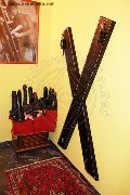 Foto Incontro Catadeya Mistresstrans Bologna - 40