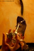 Foto Incontro Lady De Sade Italy Mistress Marina Di Carrara - 6