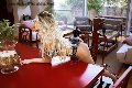 Foto Incontro Leticia Transescort Milano - 39
