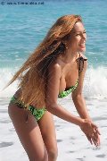 Foto Incontro Liisa Asiatica Ladyboy Trans - 320