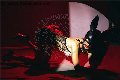 Foto Incontro Vanessa Hilton Transescort Modena - 129