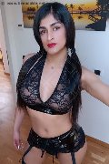 Gallarate Trans Escort Barbara Sexy 351 33 79 188 foto selfie 22