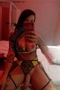 Vercelli Trans Escort Fernanda Silveira 327 46 26 367 foto selfie 16