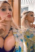 Monza Trans Escort Regina Audrey Italiana 388 98 31 116 foto selfie 171