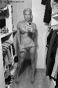 Bergamo Trans Sasha Ysmith 331 23 39 506 foto selfie 13