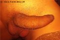 Termoli Trans Escort Vittoria Mazza 334 77 63 969 foto selfie 18