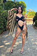 Foto Incontro Nick Miller Transescort Verona - 80