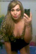 Spresiano Trans Escort Brunna Huns 366 11 01 715 foto selfie 35